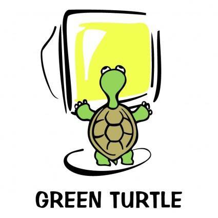 Green turtle 1