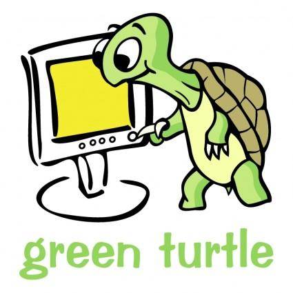 Green turtle 0