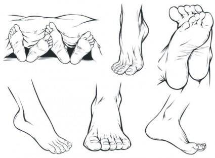 Vector sketch foot
