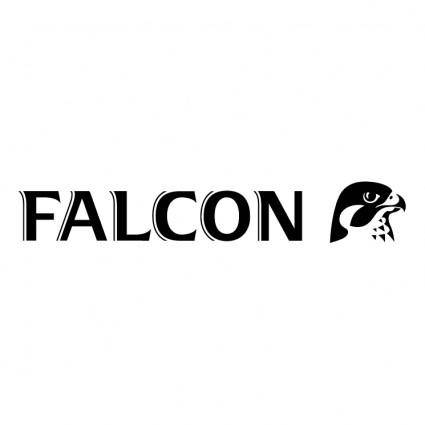 Falcon 2