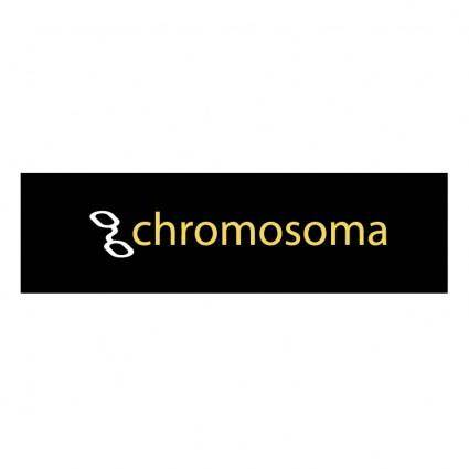 Chromosoma 0
