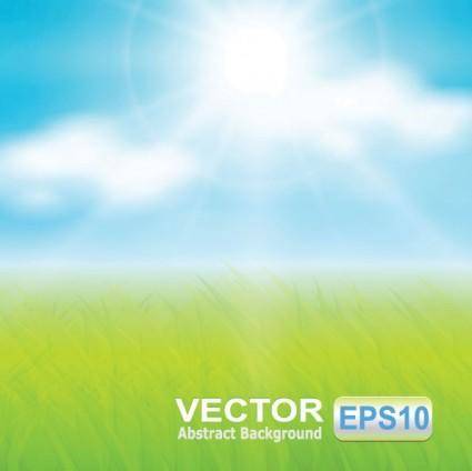 Vector grass sky