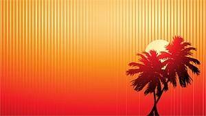 Sunset vector coconut video