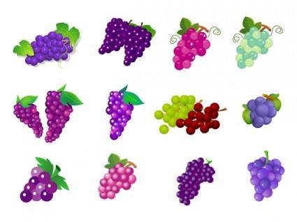 Fruit of grapes vector