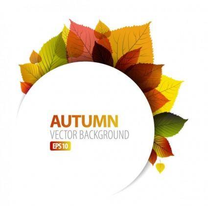 Design vector graphics autumn leaf 1
