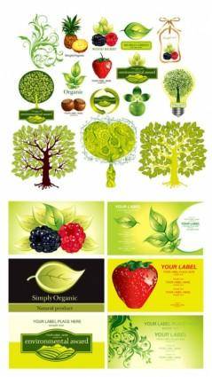 Plant fruit theme vector