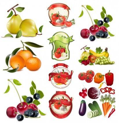Fruit and vegetable theme vector