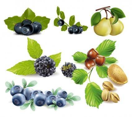 Some fruits vector