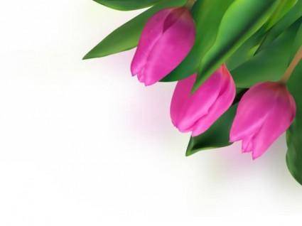 Bright tulips 04 vector