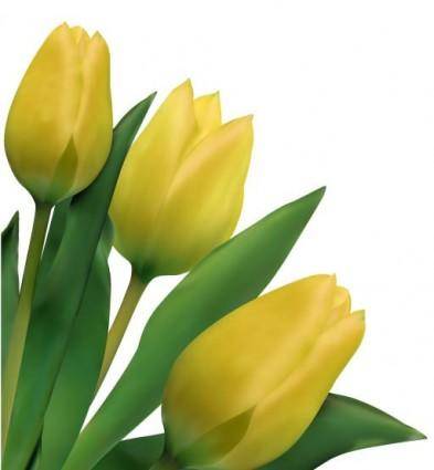 Bright tulips 03 vector
