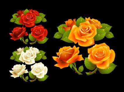 What a beautiful roses vector