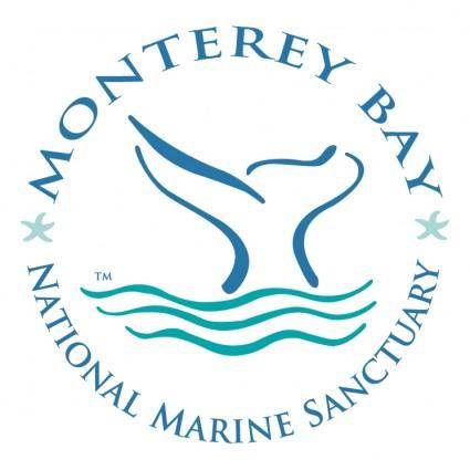 Monterey bay 3
