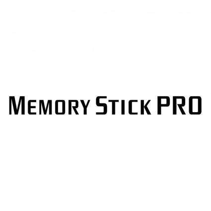 Memory stick pro