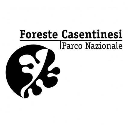 Foreste casentinesi