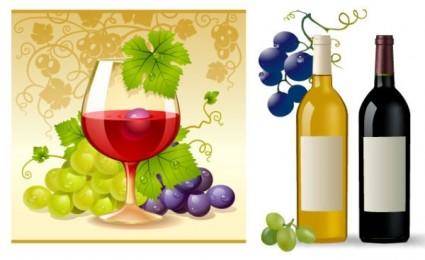 Grape and wine vector
