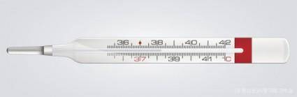 Vector thermometer