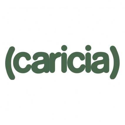 Caricia