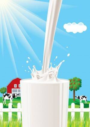 Milk theme vector 4