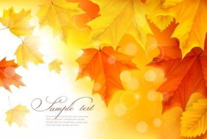 Beautiful autumn leaves card 01 vector