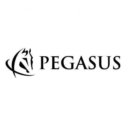 Pegasus communications 1