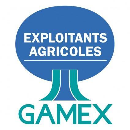 Gamex 1