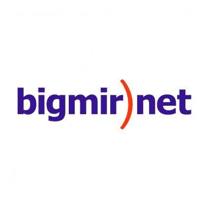 Bigmirnet