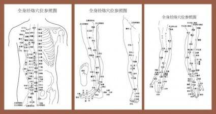 Acupuncture meridian points with reference to the body map
