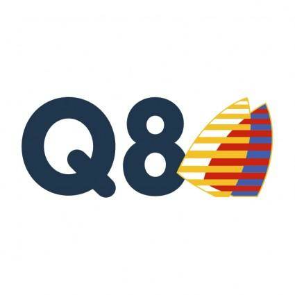 Q8 1