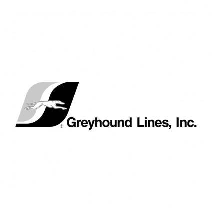 Greyhound lines