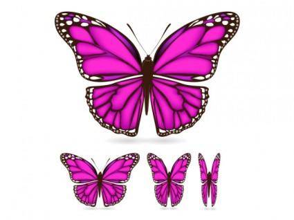 Beautiful butterfly 02 vector