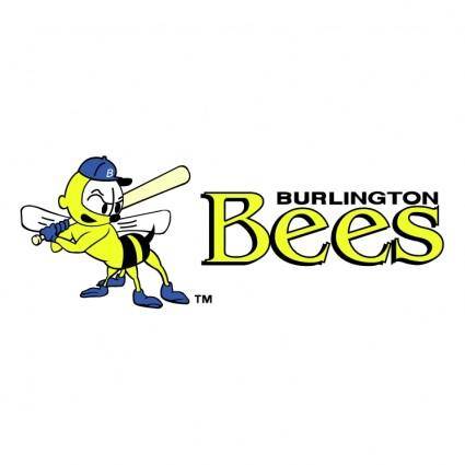 Burlington bees