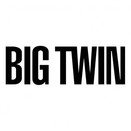 Big twin