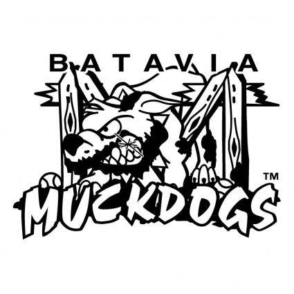 Batavia muckdogs