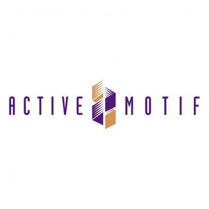 Active motif