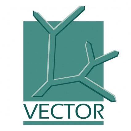 Vector 1
