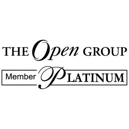 The open group 0