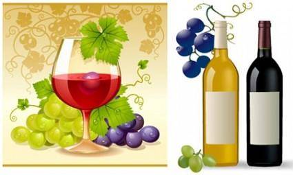 Wine and Grape Vectors