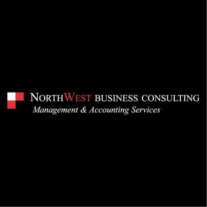 Northwest business consulting