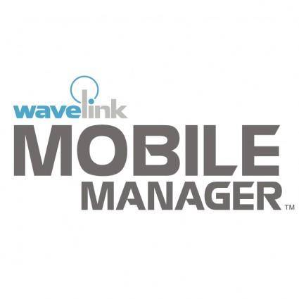 Mobile manager