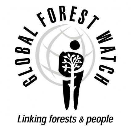 Global forest watch