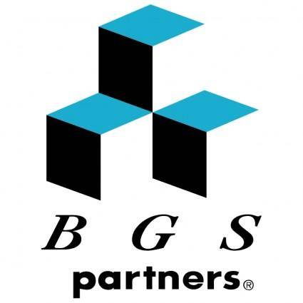 Bgs partners