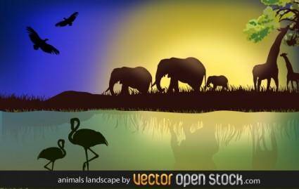 African Landscape with animals