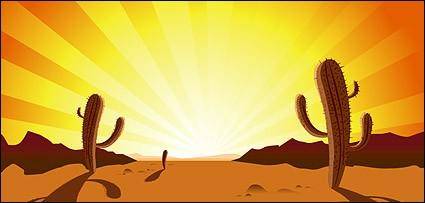 Cactus in desert sunrise