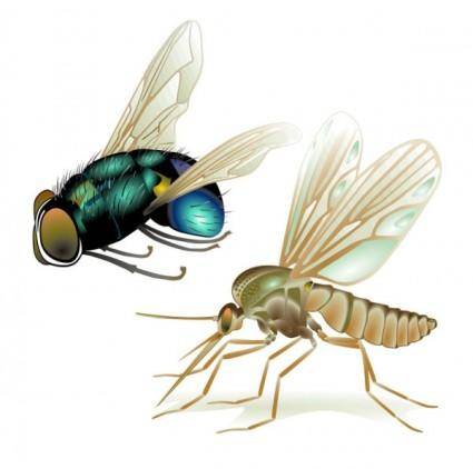 Realistic insect 05 vector