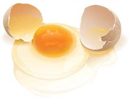Realistic vector eggs
