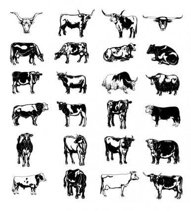 Black and white picture series of a painted cow vector vector