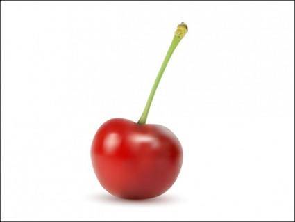 
								Cherry							