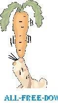 Rabbit Balancing Carrot