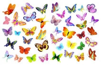 A variety of beautiful butterflies vector