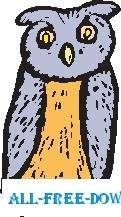 Owl 26